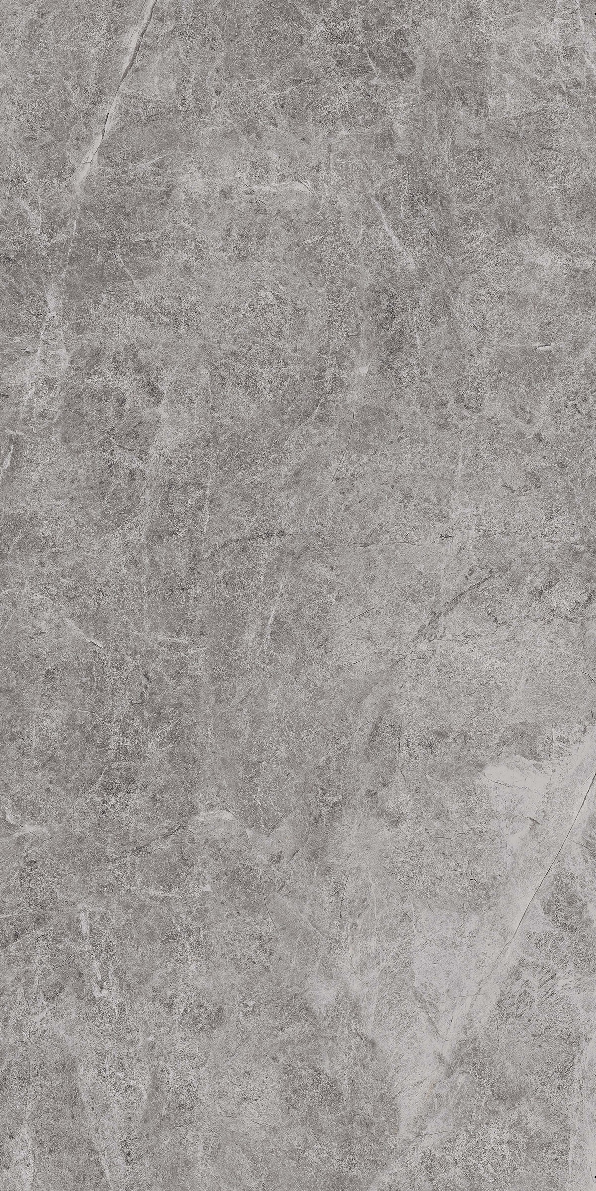 SAVOIE GRIGIO 120X60
