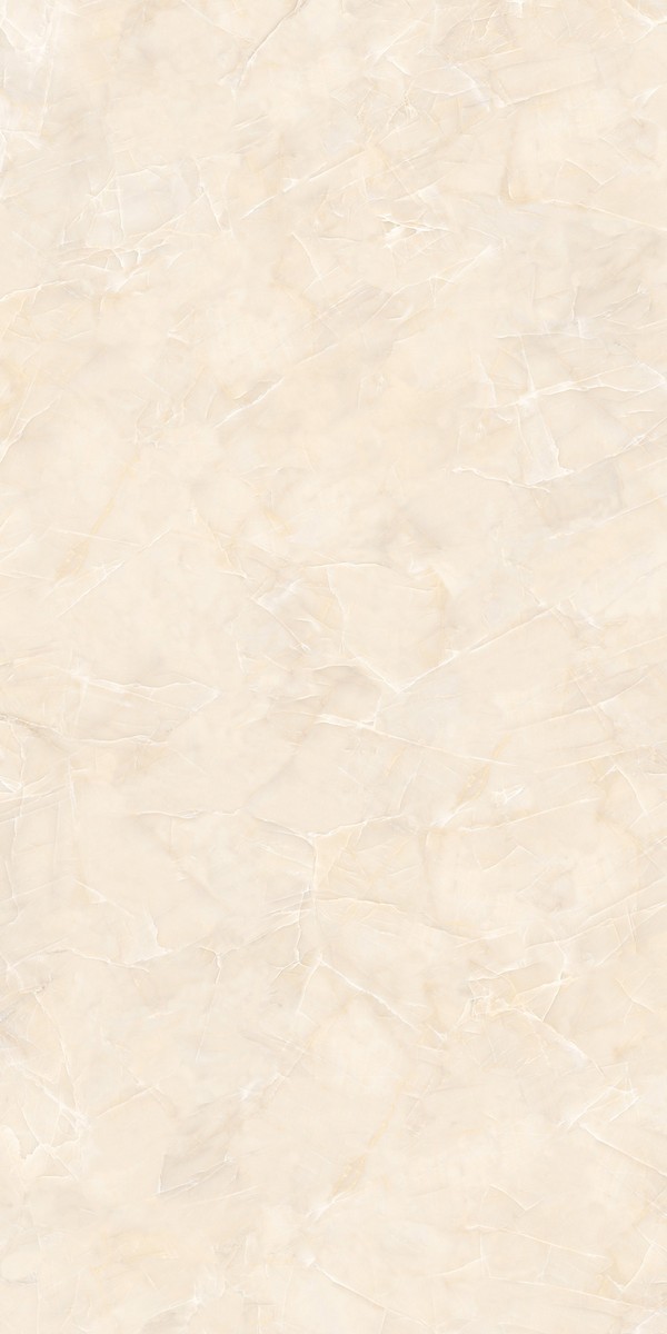 Face 8